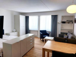 Ski IN&OUT Studio 50m to Gondel&Slopes incl parking